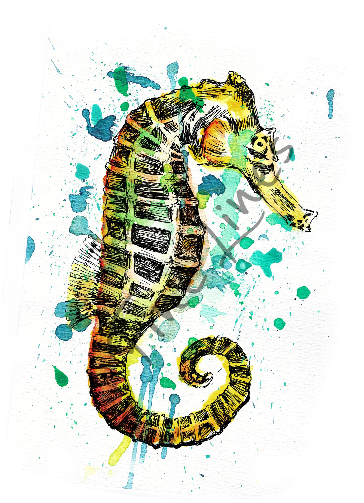 תמונה להדפסה סוסון ים - rachelsfinelines