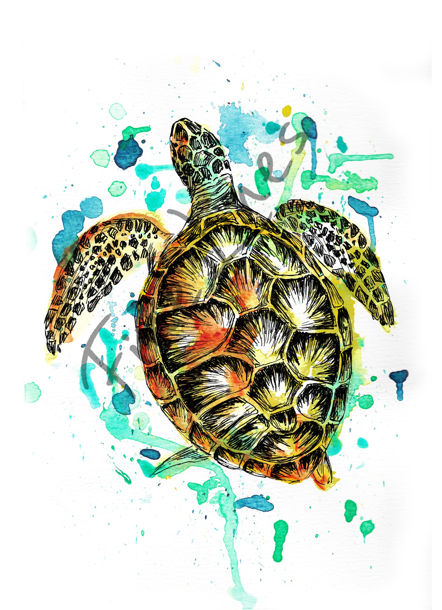 תמונה להדפסה ומיסגור צב ים - rachelsfinelines