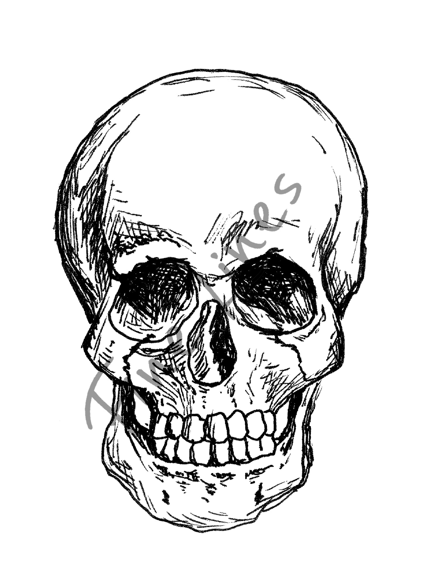 תמונה להדפסה ומיסגור גולגולת - rachelsfinelines