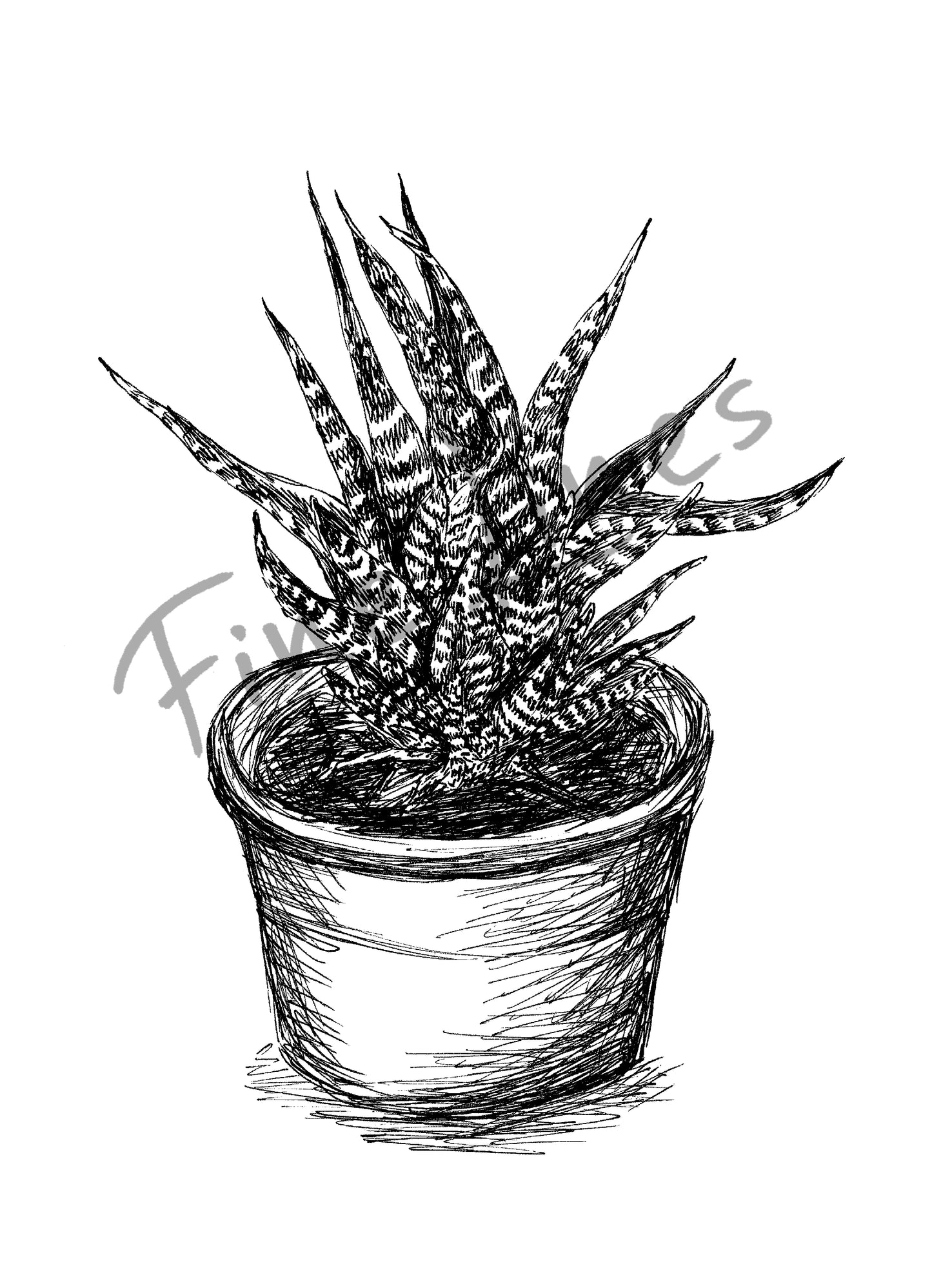 הדפס בוטני סוקולנט