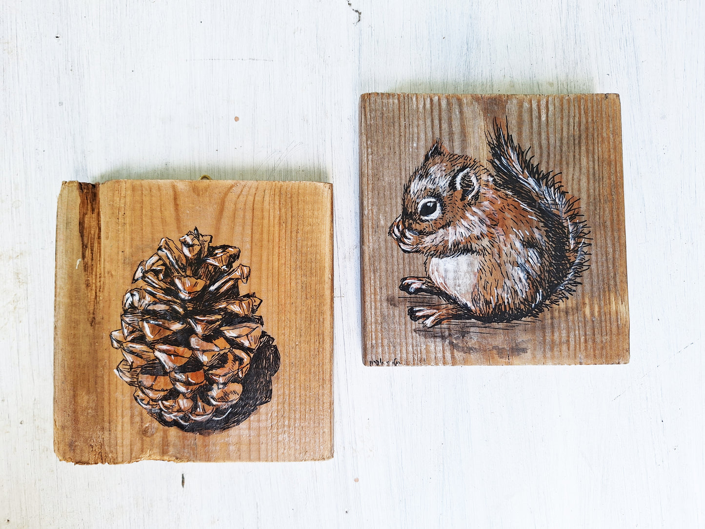 סט תמונות סנאי ואצטרובל