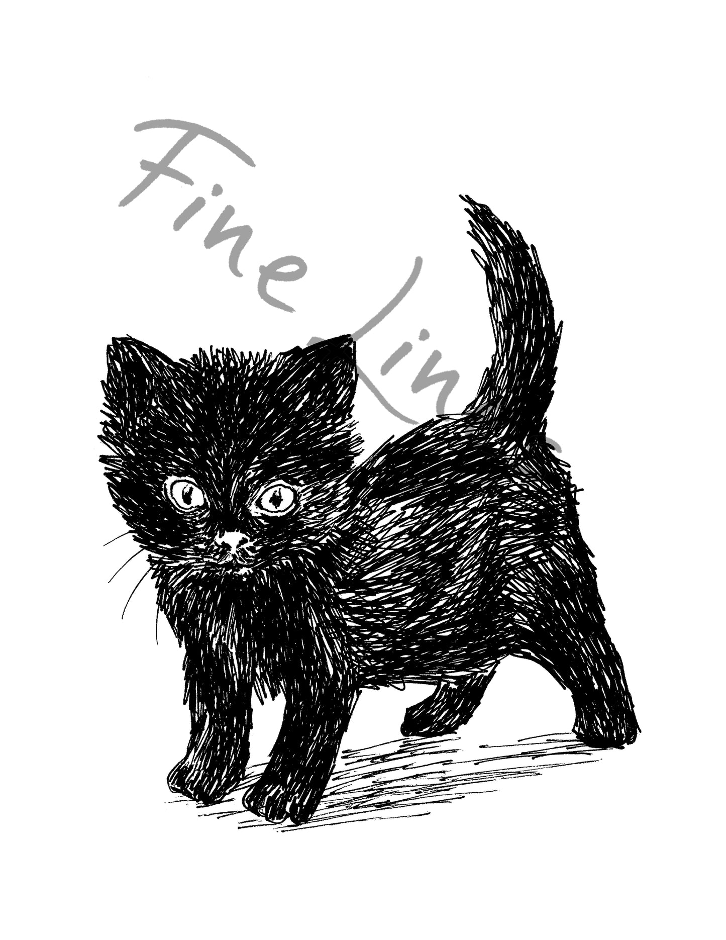 חתול שחור להדפסה ומיסגור
