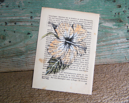 הדפס ממוסגר פרח היביסקוס טרופי