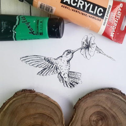 תמונה להדפסה ומיסגור ציפור יונק דבש צבעוני - rachelsfinelines