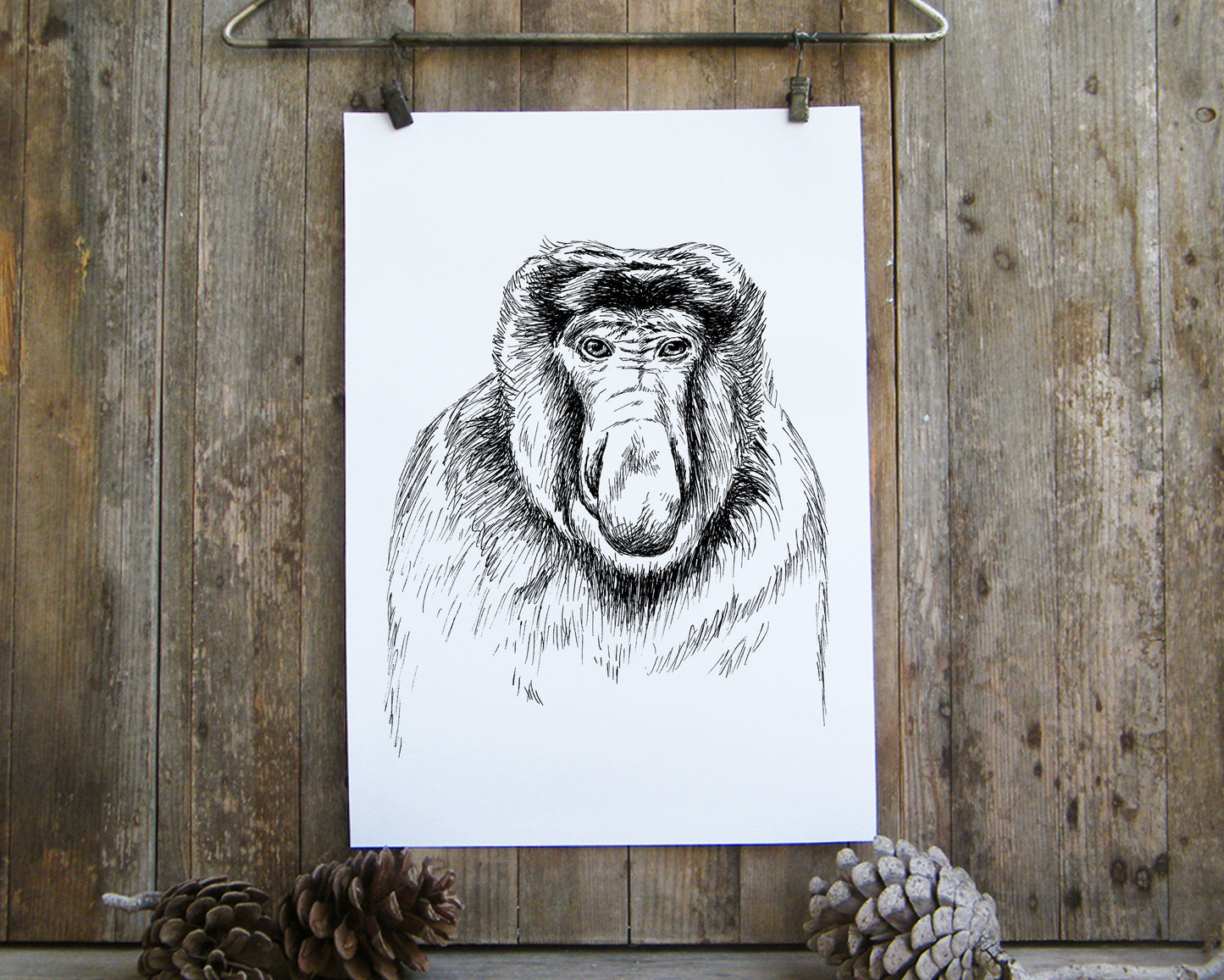 תמונה להדפסה ומיסגור קוף חוטמני - rachelsfinelines