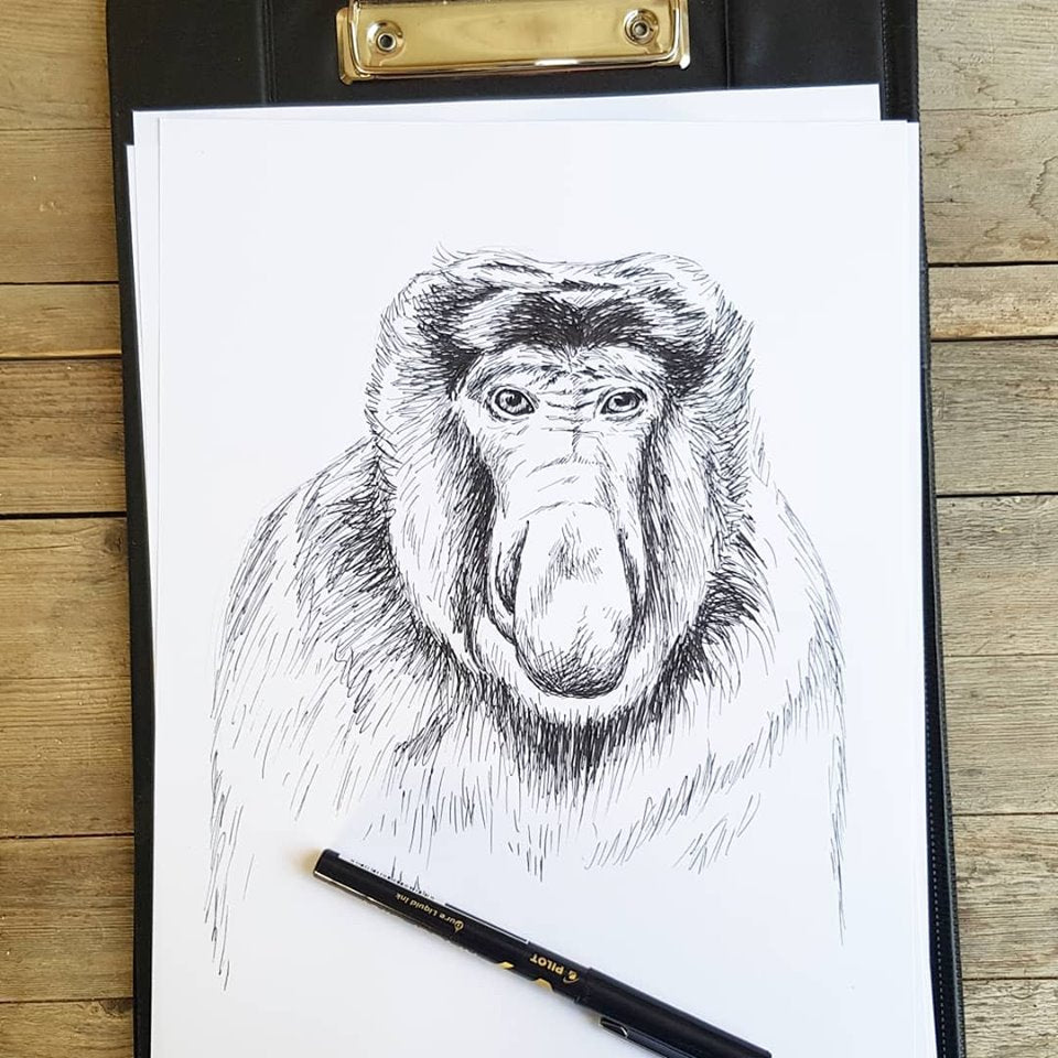 תמונת השראה להדפסה קוף חוטמני - rachelsfinelines