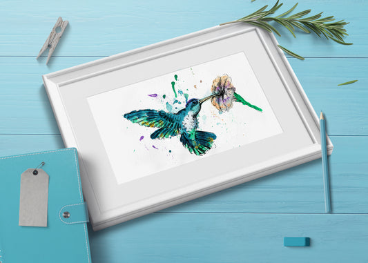 תמונה להדפסה ומיסגור ציפור יונק דבש צבעוני