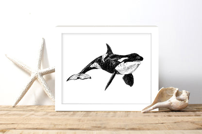 תמונה להדפסה ומיסגור לווייתן אורקה