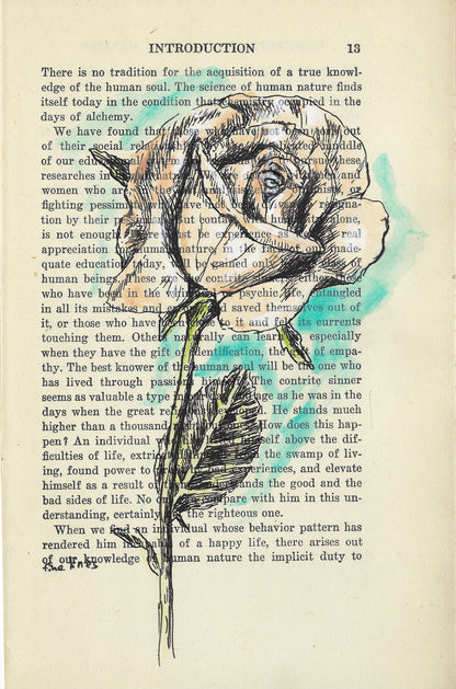 הדפס פרח ורד על נייר מספר ישן - rachelsfinelines
