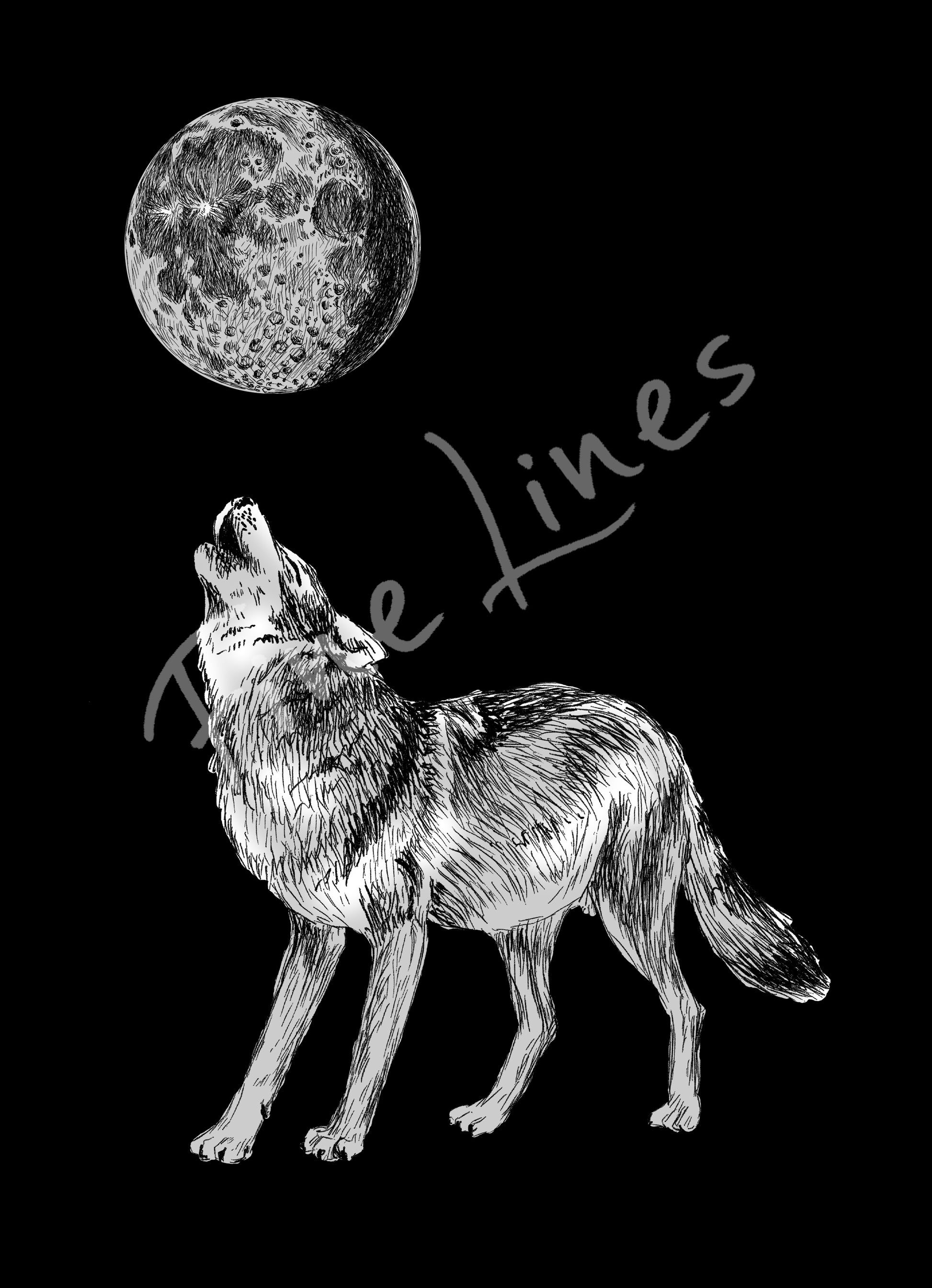 תמונה להדפסה זאב מיילל לירח - rachelsfinelines