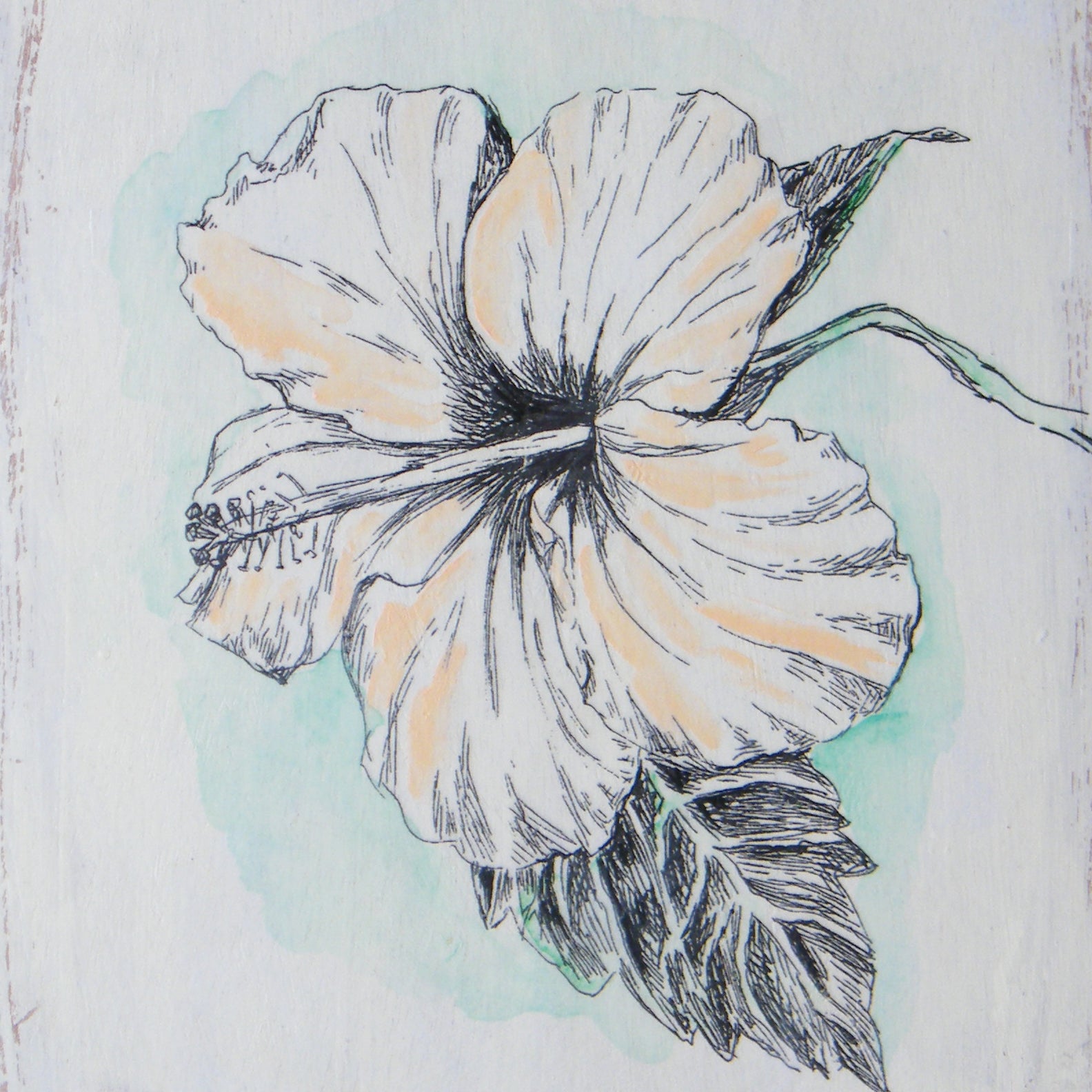 תמונה מעץ הדפס פרח היביסקוס טרופי - rachelsfinelines